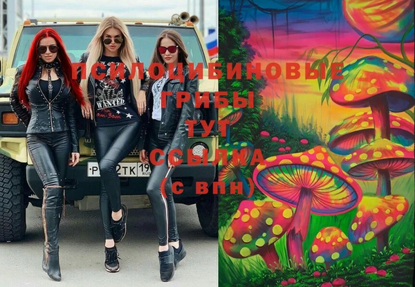 дурь Бугульма
