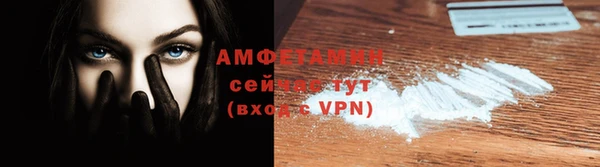 молекула духа Бородино