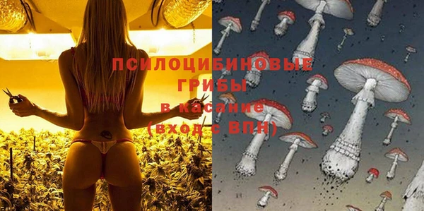 молекула духа Бородино