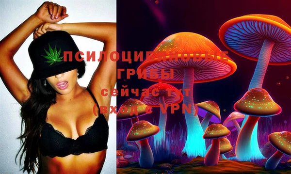 гашиш Богородицк
