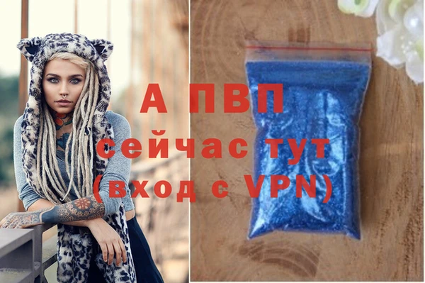 apvp Богданович