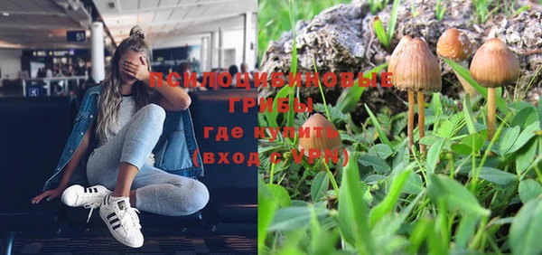 гашиш Богородицк