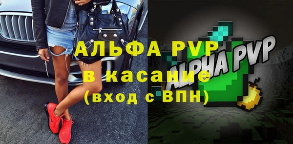 молекула духа Бородино