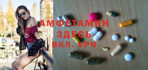 дживик Богородск
