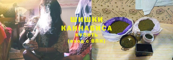 молекула духа Бородино