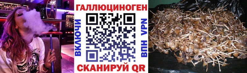 Псилоцибиновые грибы прущие грибы Свободный