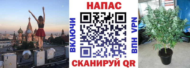 Марихуана Amnesia  Свободный 